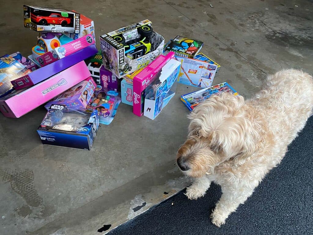 Enzo the Dog w/ Toys for Tots